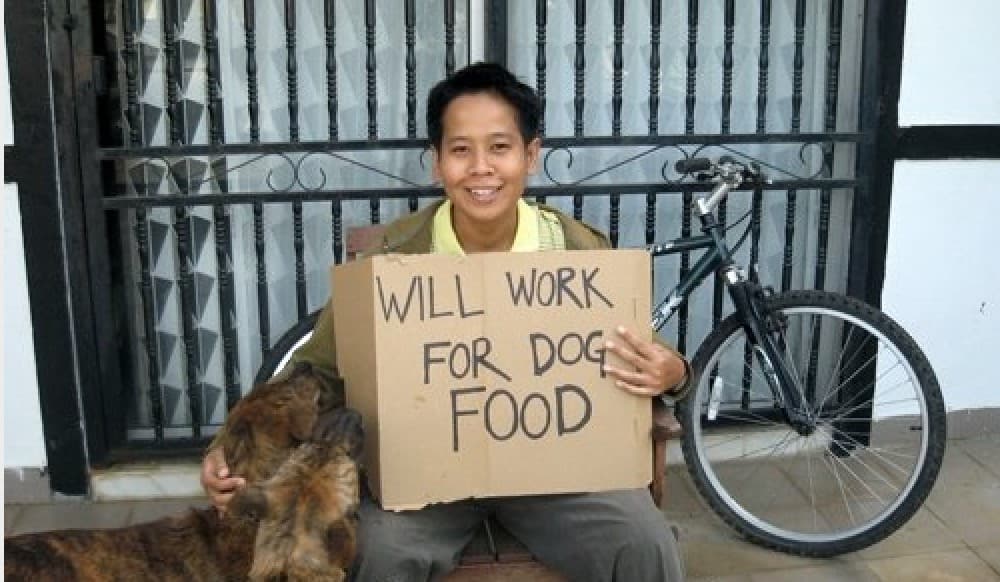 Jazi holding cardboard sign - will work for dog food